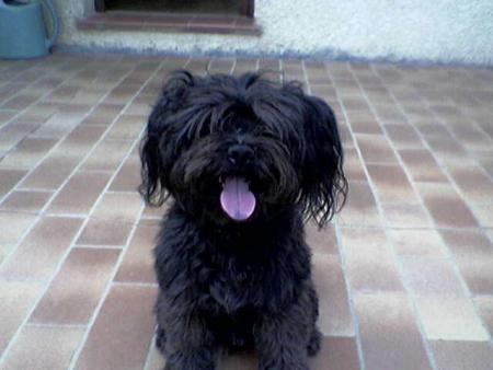 Mon dougui